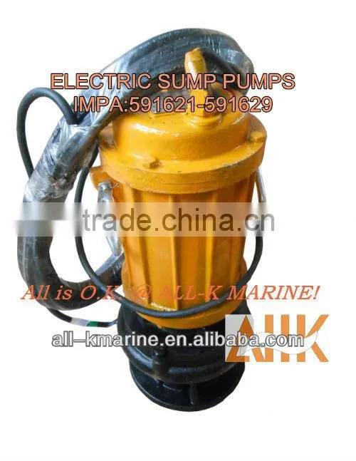 Electric Sump Pumps