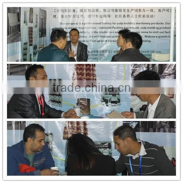 customized fruit trays pulp molds for egg tray machine