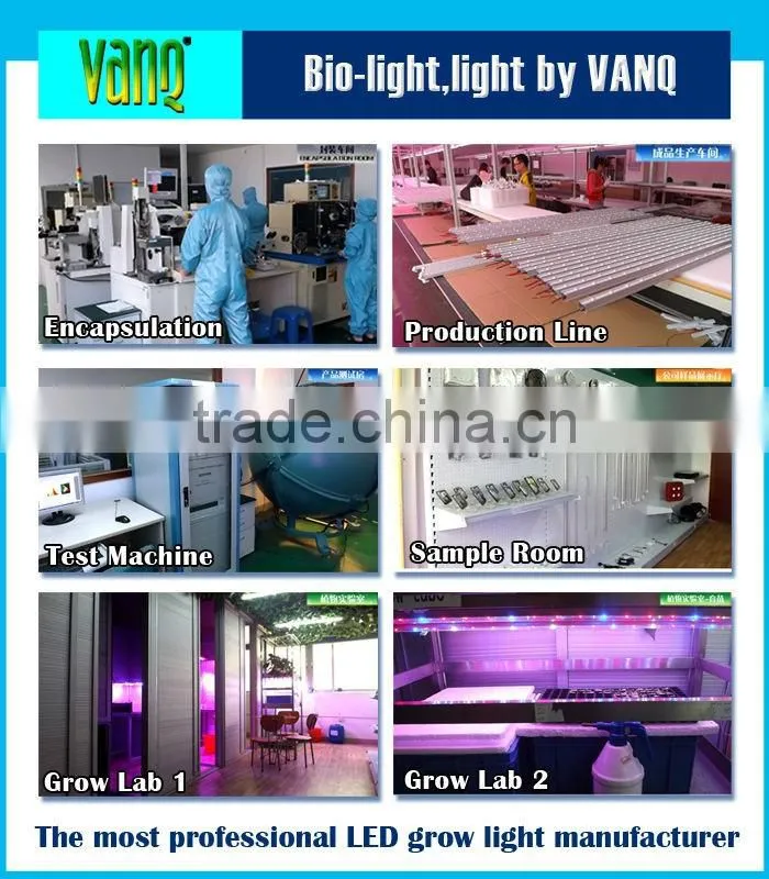 Vanq 600W COB led grow plant light led flowering lights