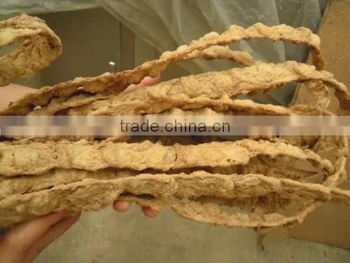Soybean Protein Food Machine