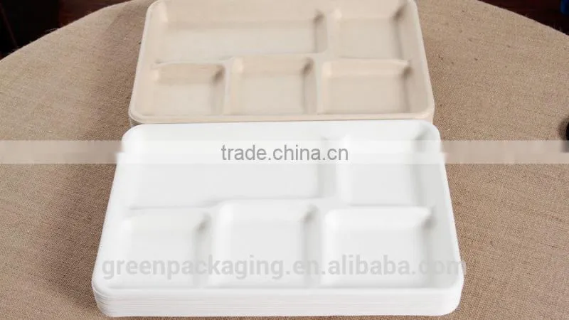5 compartment shallow tray from sugarcane