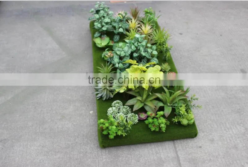 succulent plants green wall interior decoration for sale
