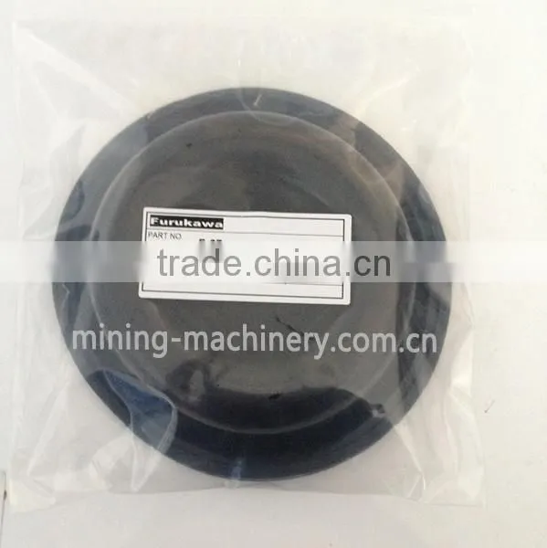 Diaphragm 36437 00100