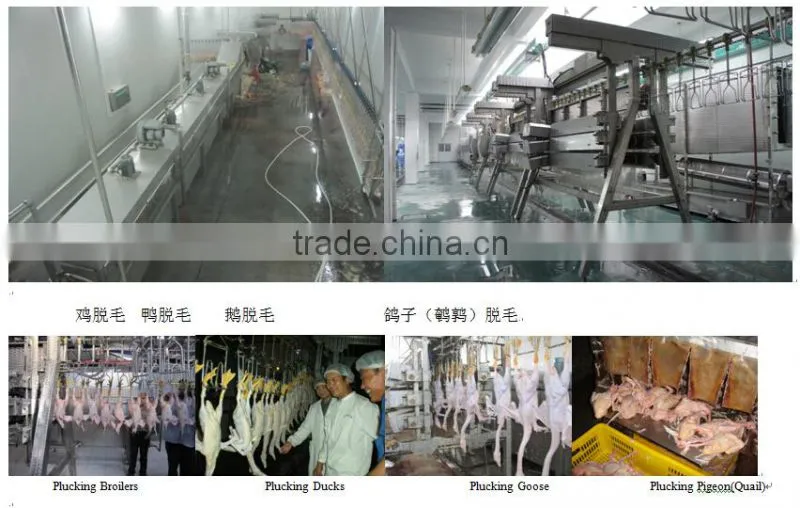 portable automatic chicken slaughter houses for slaughtering