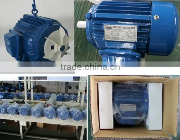 Y series three phase cast iron housing high efficiency electric motor