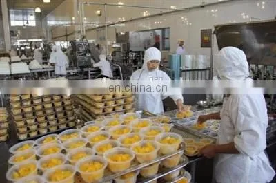 Tropical fresh fruit production line/Canned yellow peach machine/processing line