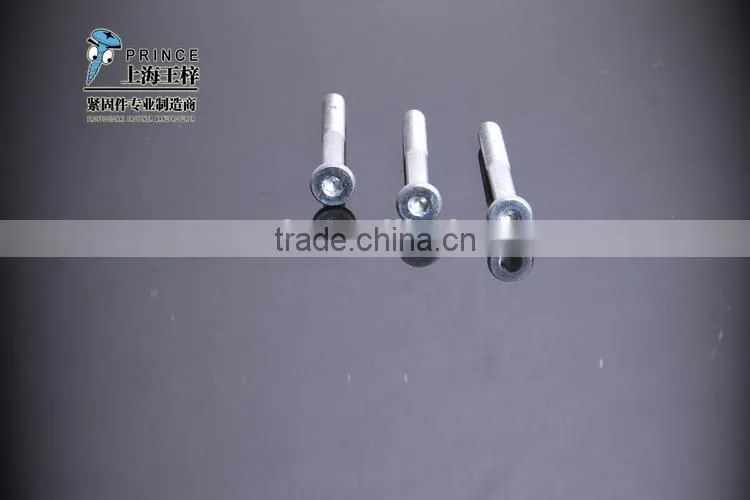 China supplier manufacture special socket cap bolt