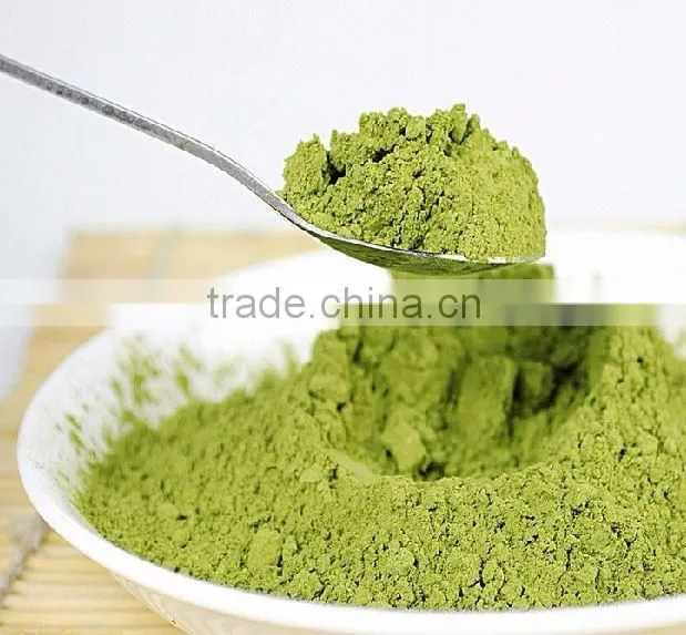 Best Quality Bermuda Grass(Cynodon dactylon) Powder For Sales