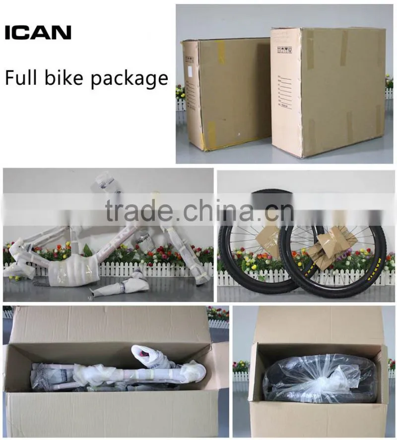 carbon Fat sand snow bike complete fatbike UD matt with fat fork 150mm