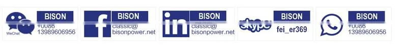 BISON(CHINA) Gasoline Engine 170F 7hp