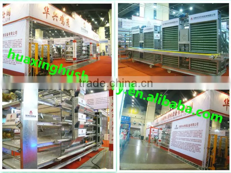 Different types steel layer chicken cages for sale