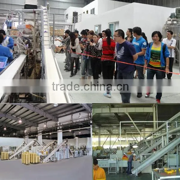 2015 newly equipment for making soap