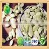 Sunflower Seeds for Birds small seed high oil content