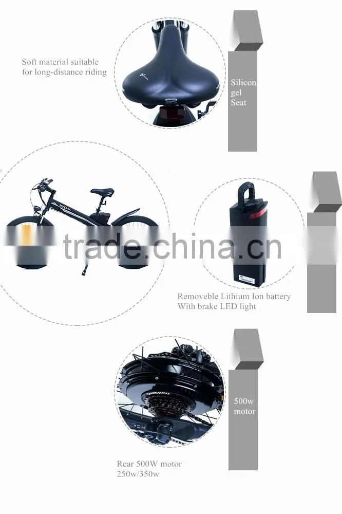 Seagull e-bike li-ion battery case