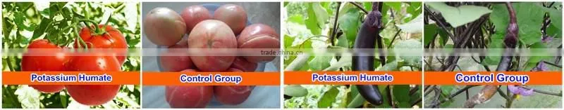Huminrich Shenyang Deep Irrigation Rapid Absorption By Plants Potassium Humate Manufacturers