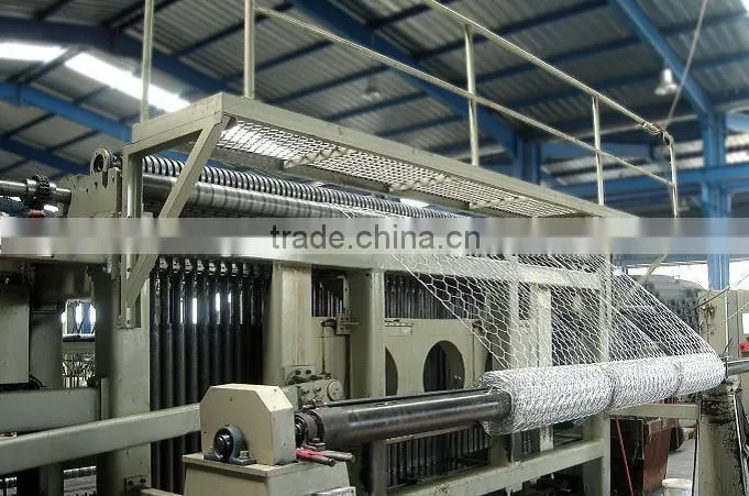Cheap Galvanized Hexagonal Wire mesh