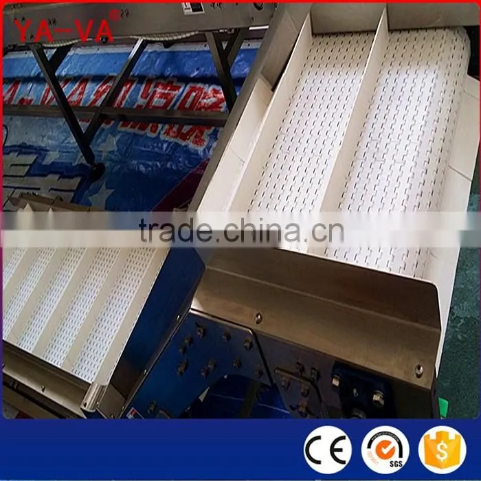Inclined Conveyor with Side Wall and Baffle to Lifting Vegetables Washing Machine