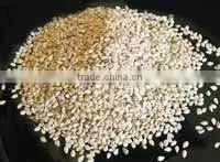 Hulled auto dried sesame seeds indian origin