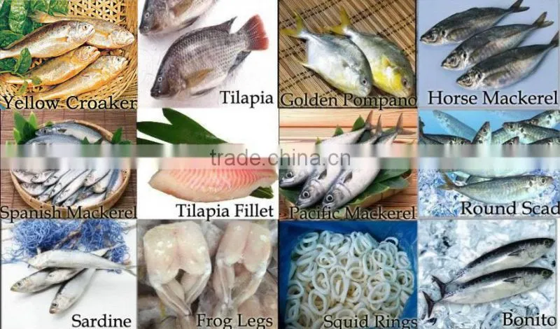 Farm raised Catfish