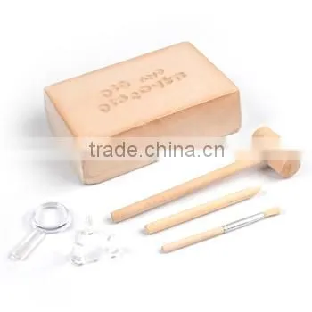 Deluxe Authentic Plant Leaf Fossils Dig Kit
