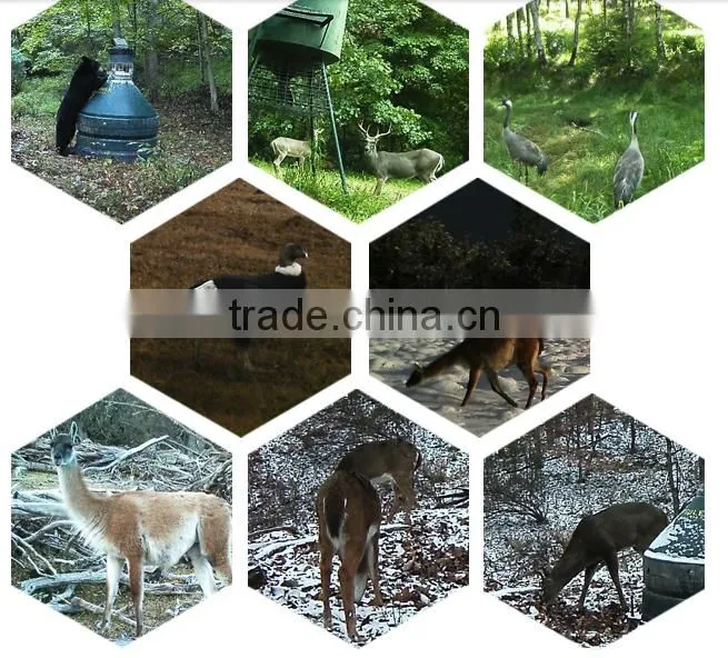 High quality Outdoor deer hunting camera rexing wireless dash camera