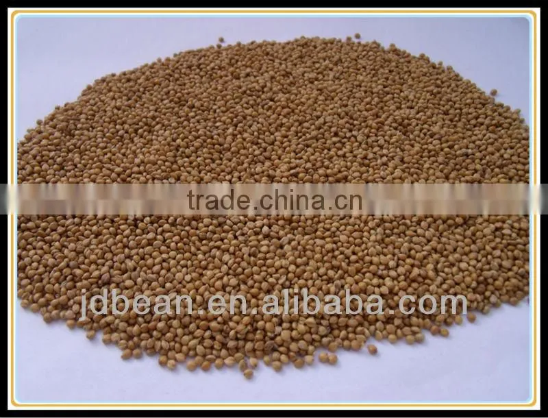 2012 yellow millet in husk MC