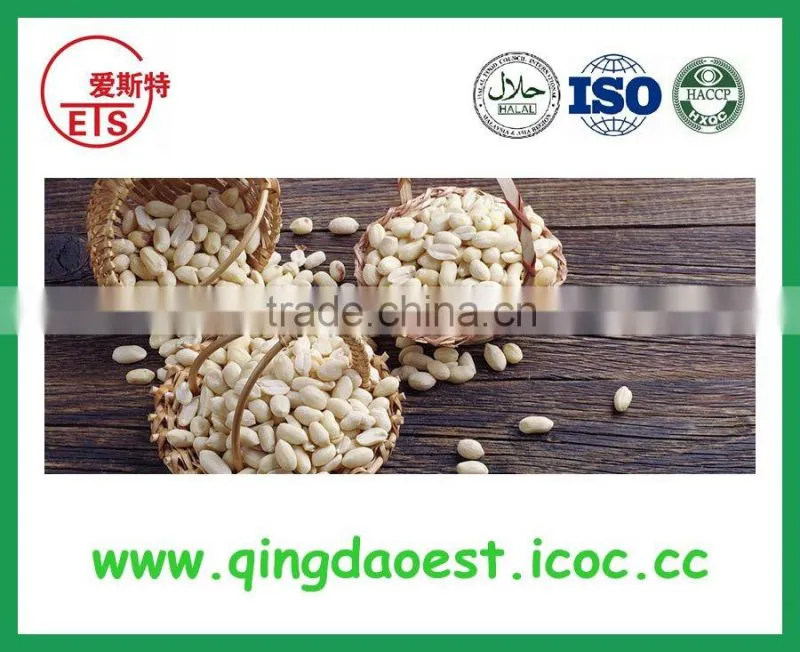 hot sale cheap price chinese blanched peanut kernel