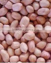 blanched peanuts of ISO9000