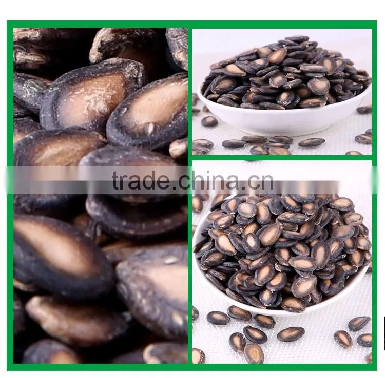 chinese best price for water melon seeds