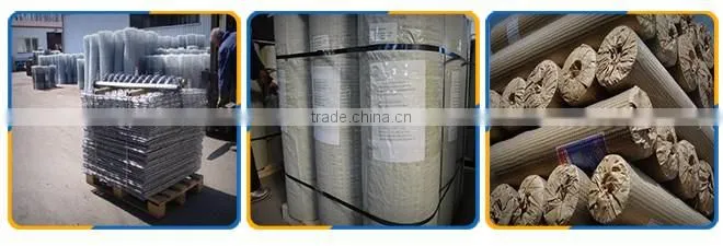 hign quality galvanized welded wire mesh