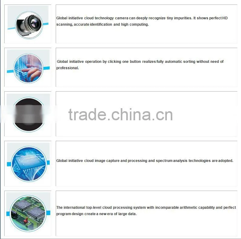 Intelligent multifunction salt ccd color sorting machine