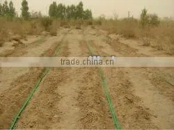 saving water Micro Drip System