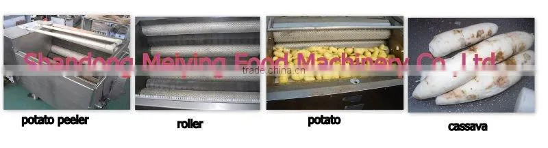 Potato Peeler Washer
