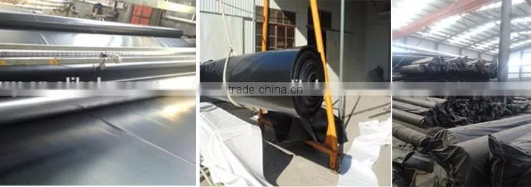 hdpe geomembrane fish pond liner