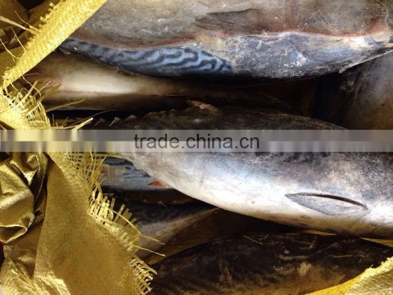 Good quality tuna