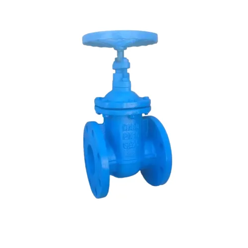 hard seal gate valve (2)
