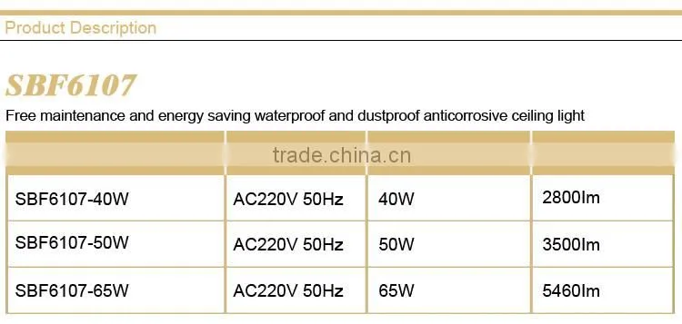 Free maintenance and energy saving waterproof and dustproof anticorrosive ceiling light
