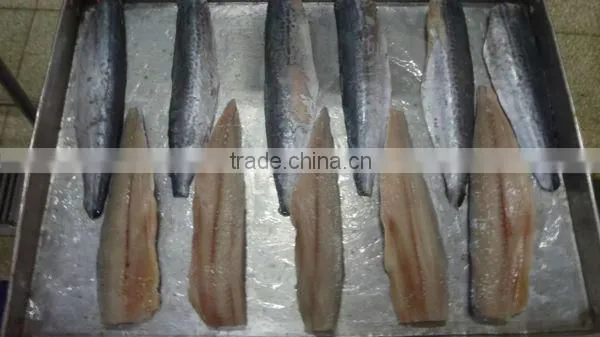 Frozen IQF Spanish Mackerel Fillet IQF Scomberomorus Niphonius King Fish Fillet