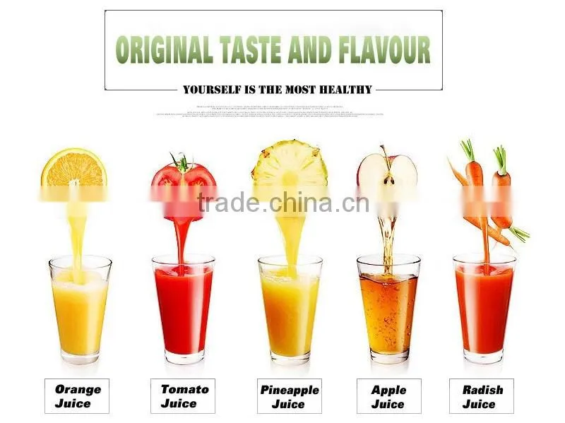 Good Quality Hand Blender and Smoothie Maker Work Top Blender As Seen As on TV Juicer Blender