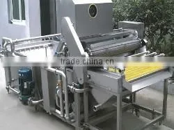 Fruit processing equipment plant