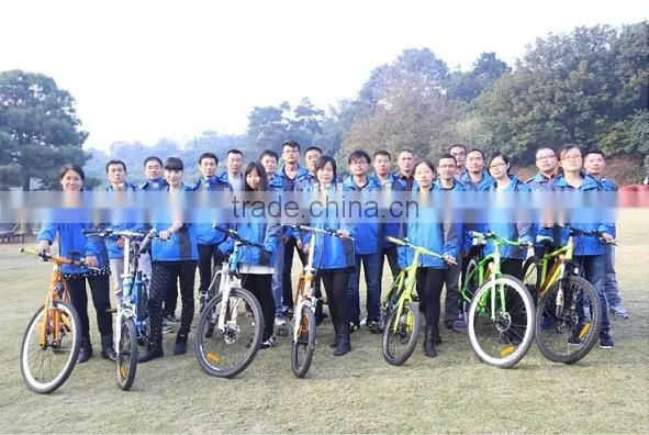 high power lithium battery Electric Bike 2015