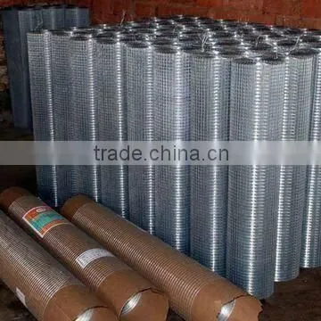Galvanized Wire Mesh for Animal Fence(Factory)