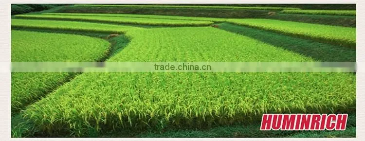 FAQ 23--How To Use Huminrich NPK Fertilizer For Millet?