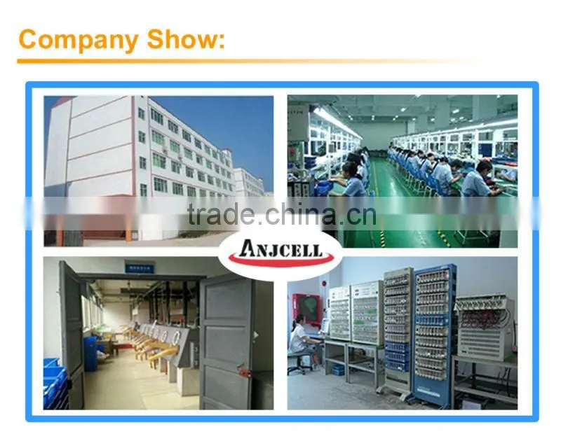lithium battery modules