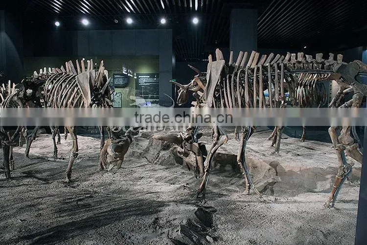 Theme park Bison fossil
