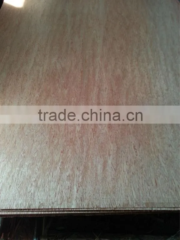 204 new 1220*2440mm keruing bintangor veneer