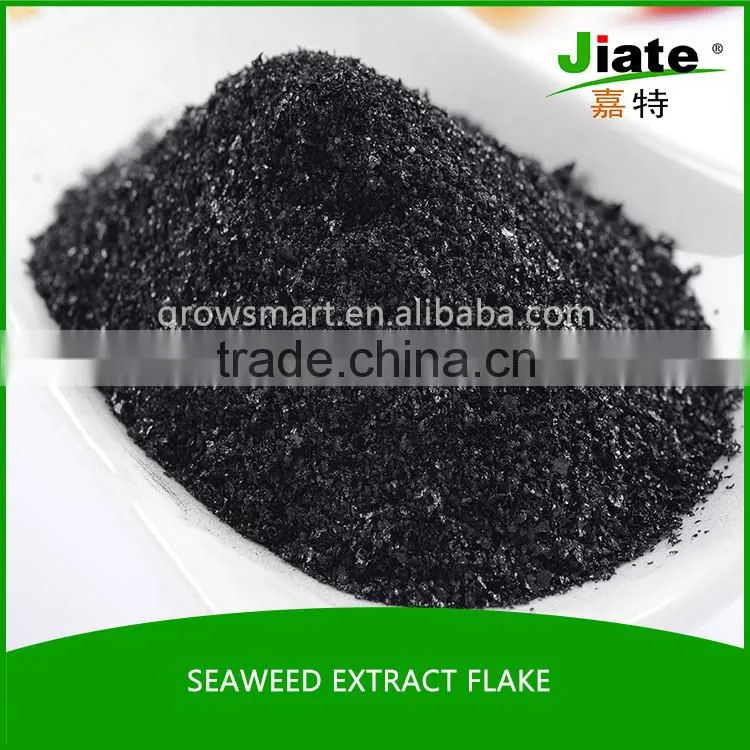 seaweed extract organic powder /flake fertilizer