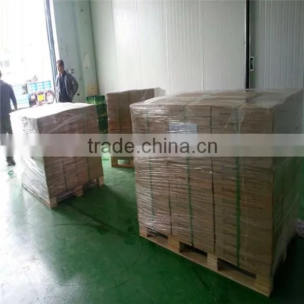 Interlocking Rubber Flooring, Solid Color Rubber Top to Bottom, Suitable for Gym Rubber Floor