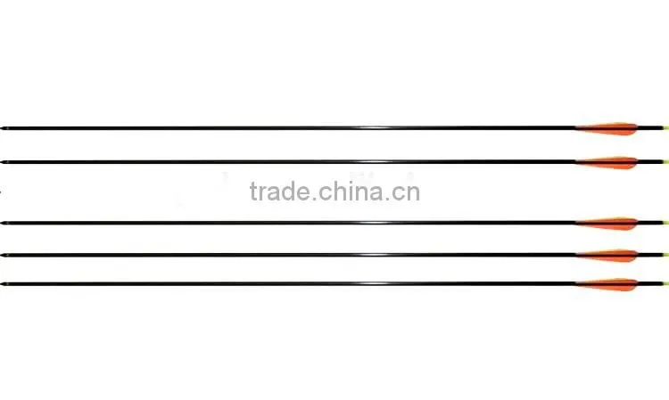 China Archery 30" Fiberglass Arrow for Compound Bow