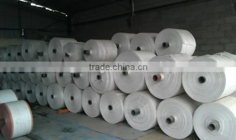 New Pp Woven Sack 50kgs